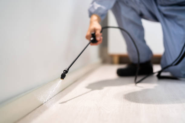 Licensed Fumigation Services service in Romoland, CA - Nex Pest Control