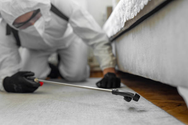 Professional Fumigation Services technician working in Romoland, CA