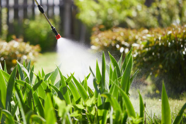 24/7 Emergency Fumigation Services experts in Romoland, CA