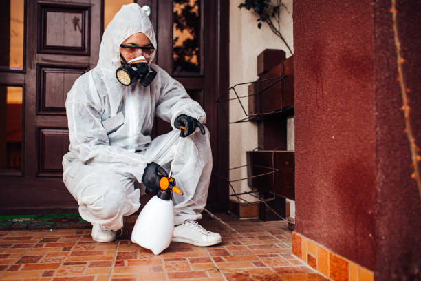 Reliable Fumigation Services contractor in Romoland, CA by Nex Pest Control